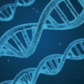 Bioinformatics